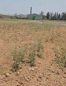 Image of 1350 Sq.ft Residential Plot / Land for sale in Banur, Mohali for Rs. 7950000