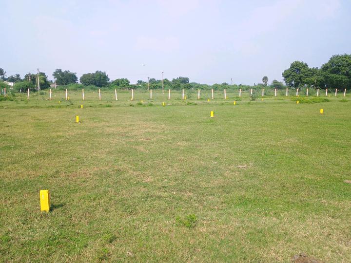 Alapakkam, Chengalpattu Main Image 1