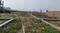 Bairiya plot Plot View 3