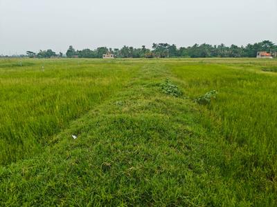 Image of 720 Sq.ft Residential Plot / Land for sale in Sonarpur, Kolkata for Rs. 145000