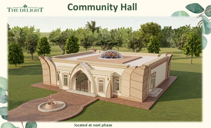 Kanauta Main Image 1