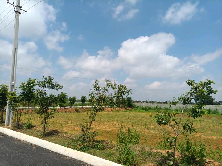 MS Developers Main Image 1