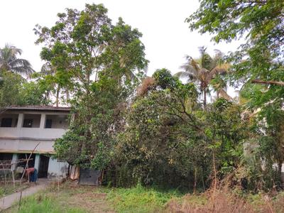 Image of 19620 Sq.ft Residential Plot / Land for sale in Diamond Harbour, South 24 Parganas for Rs. 13500000