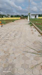 Image of 1250 Sq.ft Residential Plot / Land for sale in Uttara, Bhubaneswar for Rs. 4250000