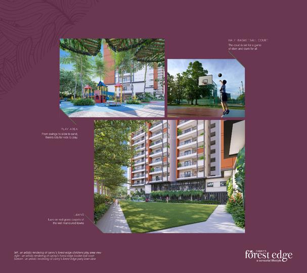 Canny Forest Edge Main Image 1