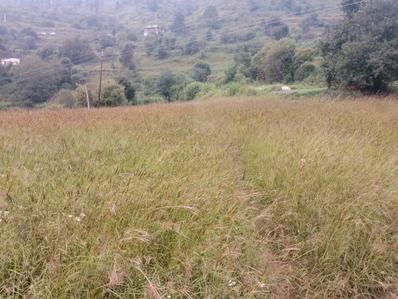 Image of 14399 Sq.ft 10 BHK Builder Floor for sale in Theog, Shimla for Rs. 8000000