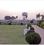 Redwood Park Premium Main Image 1