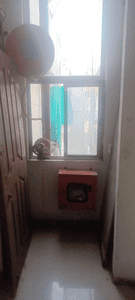 Image of 550 Sq.ft 1 BHK Apartment / Flat for sale in Highway Karuna Sagar Appartment, Kanadiya, Indore for Rs. 1400000