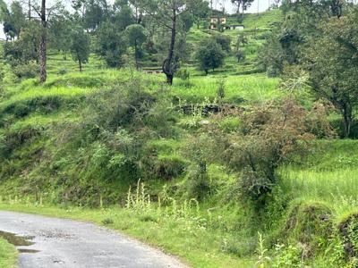 Image of 1800 Sq.ft Residential Plot / Land for sale in Airari, Ranikhet for Rs. 800000