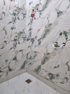 Common Bathroom Image of 600 Sq.ft 2 BHK Apartment / Flat for sale in Saarthi Estonia Homes, Uttam Nagar New Delhi for Rs. 3750000