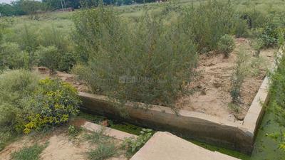 Sector 22D Greater Noida Plot View 2