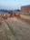 Bhavya Enclave Plot View 2