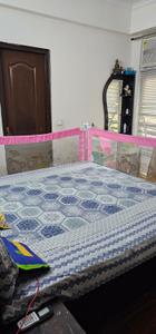Bedroom Image of 550 Sq.ft 1 RK Independent House for rent in Nirala Estate , Noida Extension Greater Noida for Rs. 18000