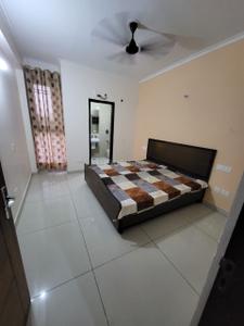 Bedroom Image of 903 Sq.ft 2 BHK Apartment / Flat for rent in Gillco Palms, Sector 115 Mohali for Rs. 25000