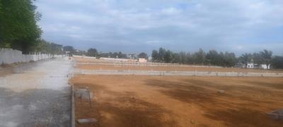 Residential Plot