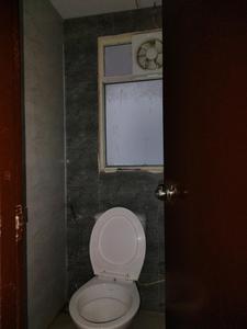Common Bathroom Image of 530 Sq.ft 1 BHK Apartment / Flat for rent in Amrapali Dream Valley 2, Noida Extension Greater Noida for Rs. 14600