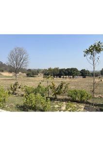 Image of 5445 Sq.ft Residential Plot / Land for sale in Mohali Village, Mohali for Rs. 24200000