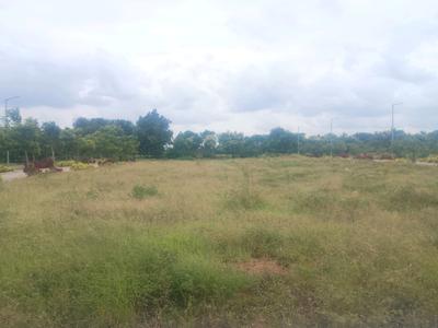 Sreenagar Plot View 2