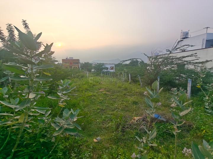 Mettupalayam Main Image 1