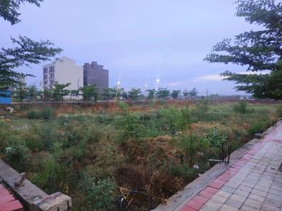 Image of 171 Sq.ft Residential Plot / Land for sale in Skywhales Vienna Greens, Sector 99A, Gurgaon for Rs. 31560005