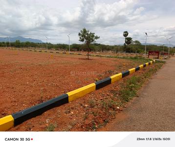Annur Plot View 3