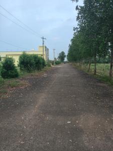 Kothavalasa Plot View 3