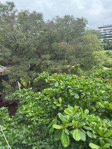 Image of 1169 Sq.ft 2 BHK Apartment / Flat for sale in Mythreyi Naimisha, Adugodi, Bengaluru for Rs. 18000000