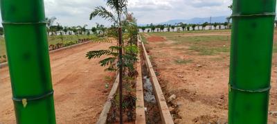 Image of 1200 Sq.ft Residential Plot / Land for sale in Tata Nagar, Tirupathi for Rs. 1800000
