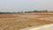Sarai Gulharia Main Image 1