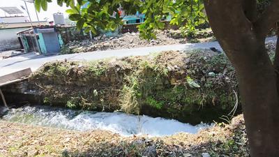 Image of 1260 Sq.ft Residential Plot / Land for sale in Sahastradhara, Dehradun for Rs. 4900000
