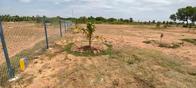 Image of 11104 Sq.ft Residential Plot / Land for sale in Sooriyur, Tiruchirappalli for Rs. 1765377