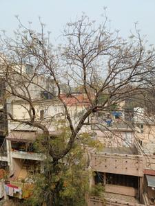 Image of 1710 Sq.ft 3 BHK Builder Floor for sale in Preet Vihar, New Delhi for Rs. 31000000