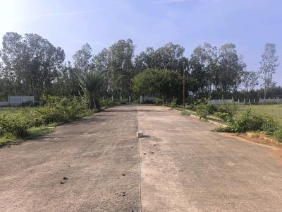 Image of 1000 Sq.ft Residential Plot / Land for sale in Hoskote, Bengaluru for Rs. 2800000