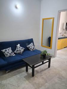 Hall Image of 900 Sq.ft 2 BHK Builder Floor for rent in HUDA Plot Sector 42, Sector 42 Gurgaon for Rs. 50000