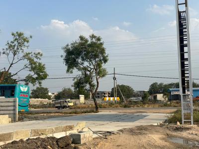 Pati Plot View 3