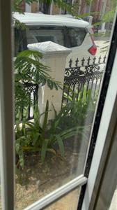 Balcony Image of 1700 Sq.ft 3 BHK Villa for rent in Savera Palm Green Villas, Sanganer Jaipur for Rs. 25000