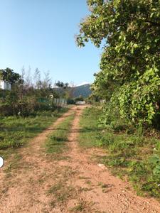 Image of 4800 Sq.ft Residential Plot / Land for sale in Periyanaickenpalayam, Coimbatore for Rs. 3450000