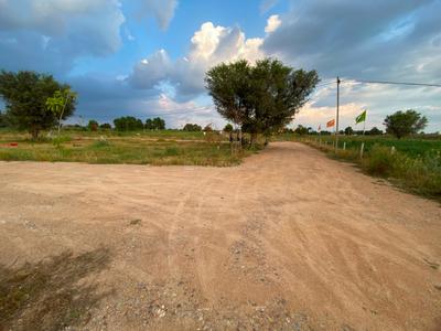 Image of 875 Sq.ft Residential Plot / Land for sale in Khatu, Sikar for Rs. 1746000