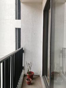 Living Room Image of 798 Sq.ft 2 BHK Apartment / Flat for rent in Runwal My City Phase II Cluster 05 Part II, Usarghar Thane for Rs. 13999