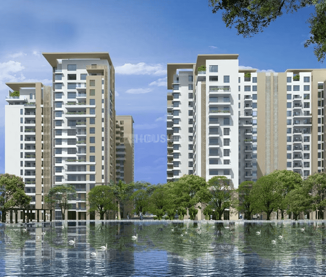 Adani Water Lily Main Image 1