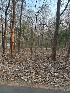 Image of 9600 Sq.ft Residential Plot / Land for sale in Emerald Enclave, Hebbal, Mysore for Rs. 46000000