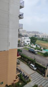 Balcony Image of 450 Sq.ft 1 BHK Apartment / Flat for rent in ROF Amaltas, Sector 92 Gurgaon for Rs. 12400