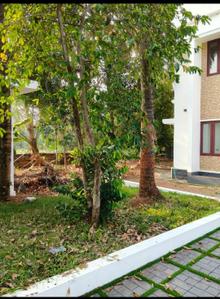 Image of 2100 Sq.ft 4 BHK Independent House for sale in Angamaly, Kochi for Rs. 12000000