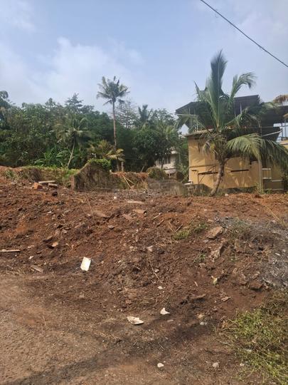 Sawthi Nagar, Pipinmoodu Main Image 1