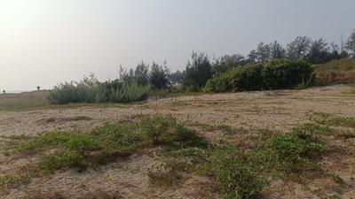 Image of 93108 Sq.ft 4 BHK Farm House for sale in Morjim, Goa for Rs. 1100000000
