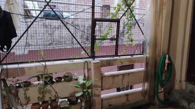 Balcony Image of 594 Sq.ft 9 BHK Independent House for sale in Bhajanpura New Delhi for Rs. 13000000