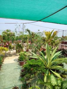 Image of 3600 Sq.ft 8 BHK Independent House for sale in Kasba, Kolkata for Rs. 14500000