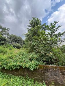 Image of 900 Sq.ft Residential Plot / Land for sale in Sahastradhara Road, Dehradun for Rs. 7000000