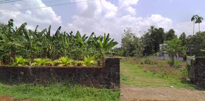 Image of 500 Sq.ft Residential Plot / Land for sale in Kalady, Kochi for Rs. 600000