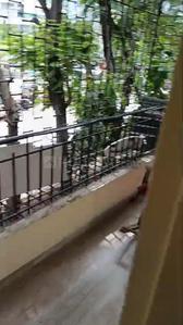 Balcony Image of 1450 Sq.ft 3 BHK Apartment / Flat for rent in Vashi Navi Mumbai for Rs. 75000